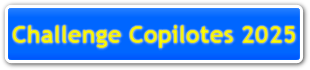 Challenge CoPilotes 2025.pdf
